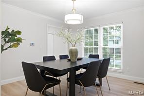 1010 Julianna Drive — Photo 5